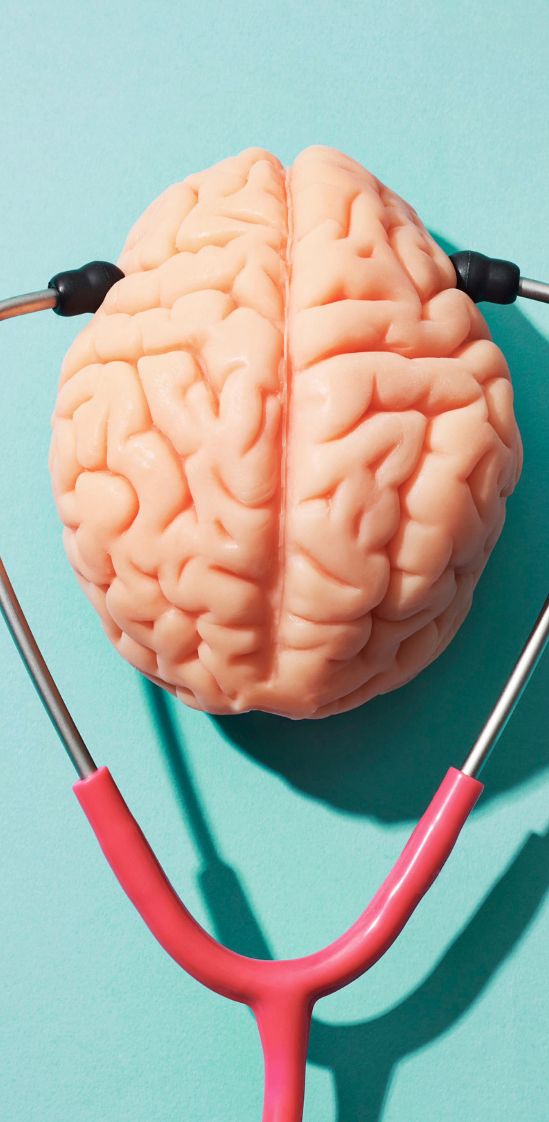 Design sem nome (17)